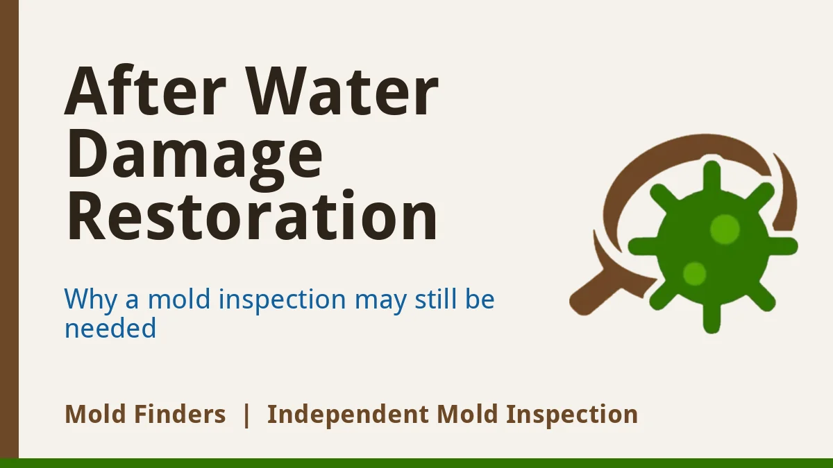 After water damage restoration: when you still need a mold inspection