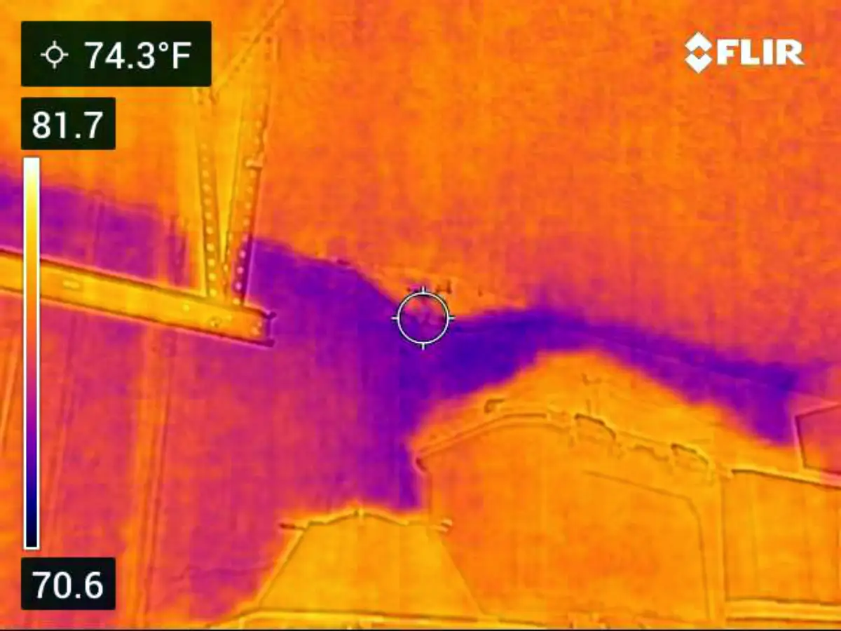 IR Image