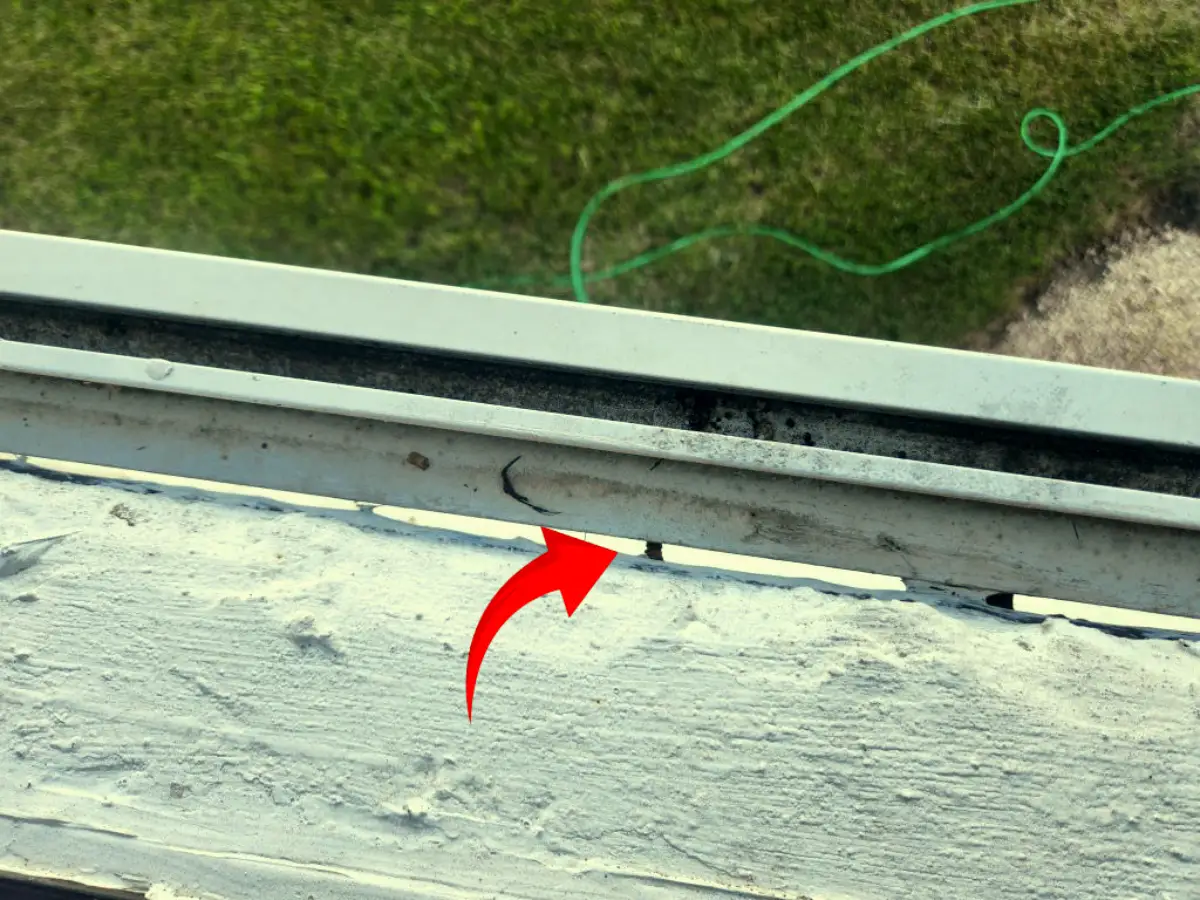 The Shutter "Trojan Horse": Is Your Storm Protection Leaking? 2 Mold image in window