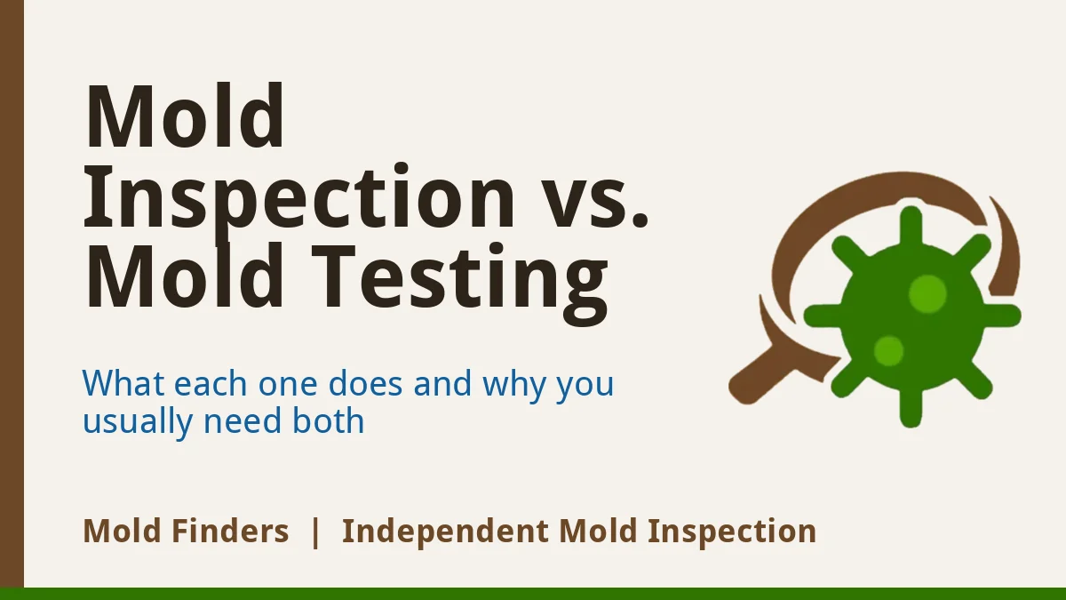 Mold inspection vs mold testing: what each one does