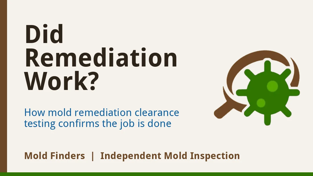 Mold remediation clearance: how to know remediation worked