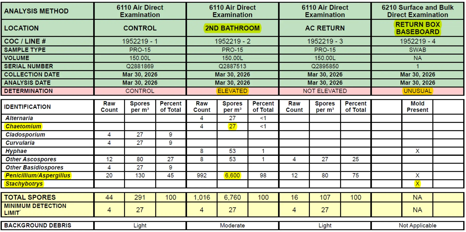 Mold Report