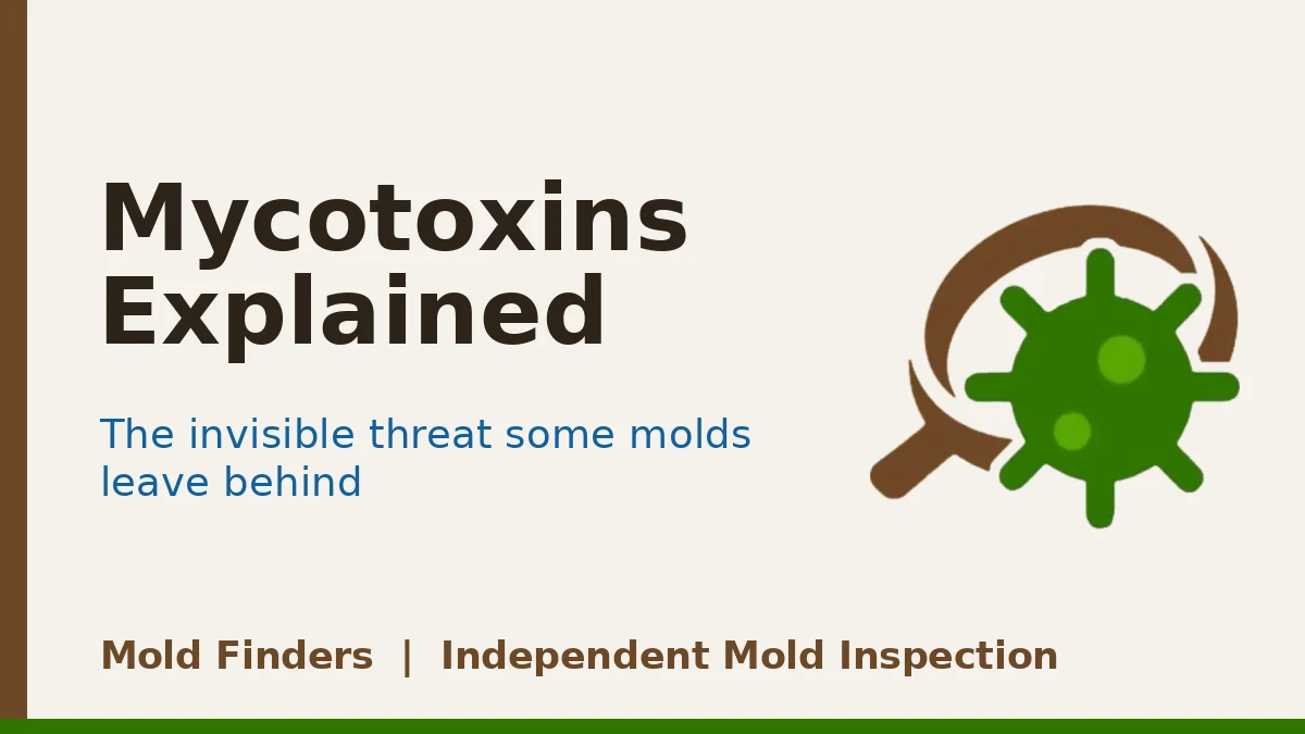Mycotoxins Explained: The invisible threat some molds leave behind