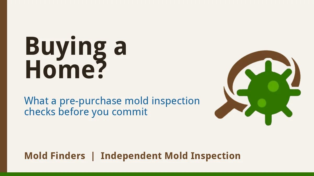 Pre-purchase mold inspection for South Florida home buyers