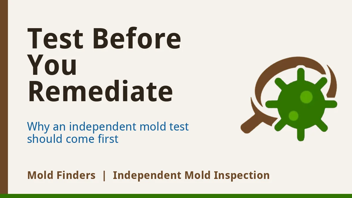 Before mold remediation: an independent mold test comes first