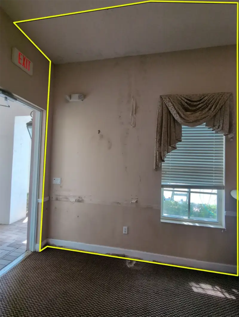 Wall with mold